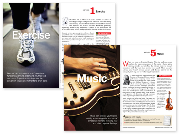 Scientific American - book